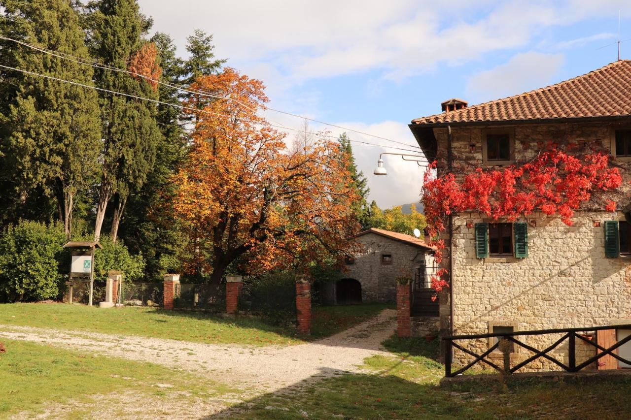 פייבה סנטו סטפנו Agriturismo Villaggio Eden מראה חיצוני תמונה