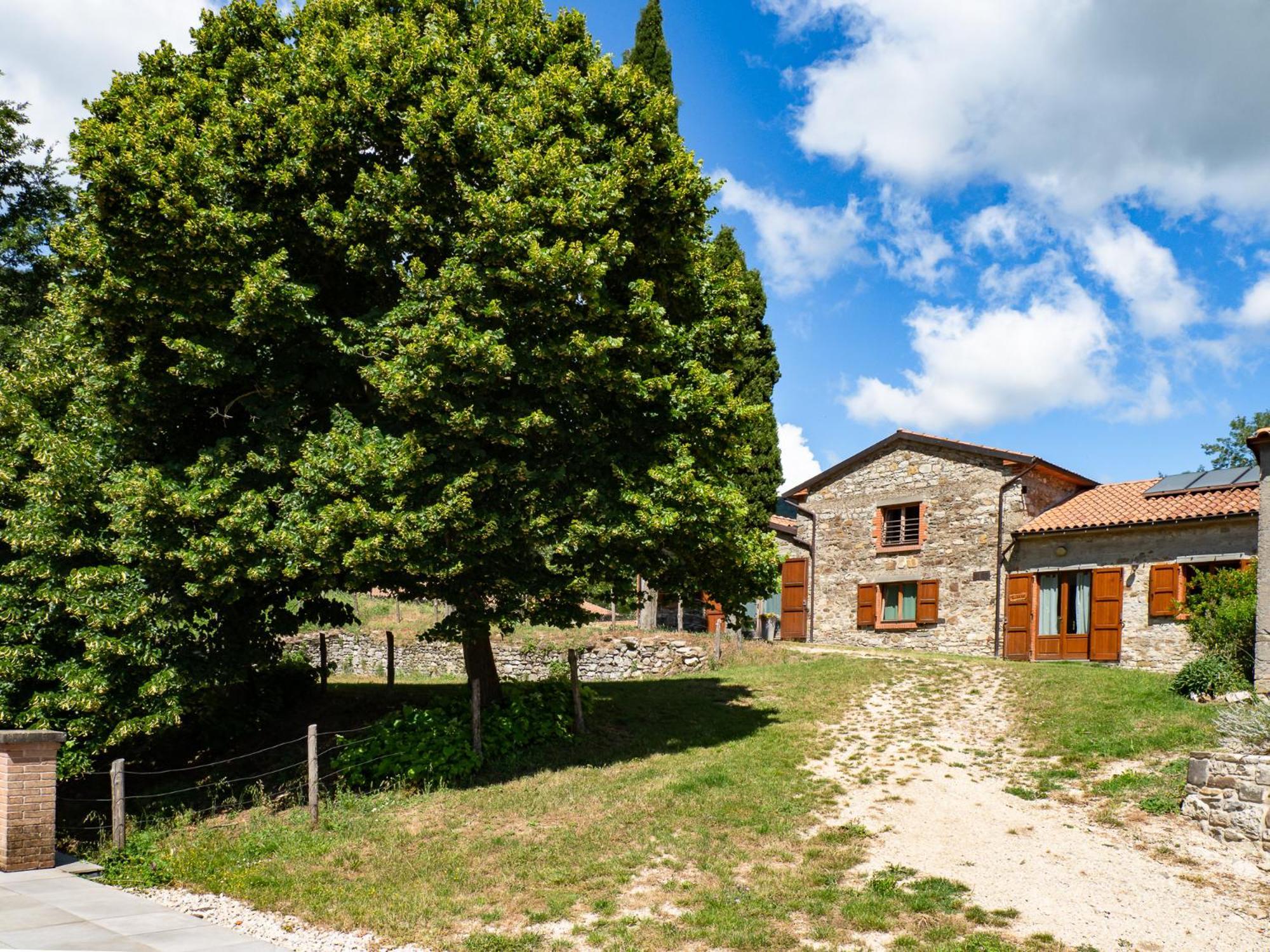 פייבה סנטו סטפנו Agriturismo Villaggio Eden מראה חיצוני תמונה